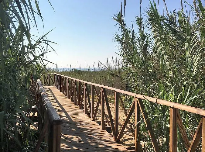 Apartman Oasis Beach X - 49
